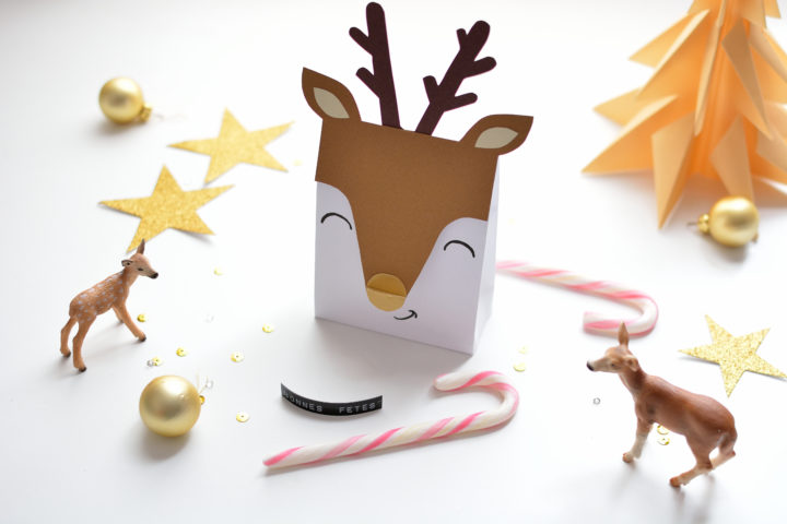 Schöne Geschenkverpackungen zu Weihnachten DIY Printable